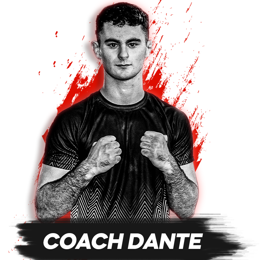 Dante profile